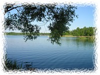 Olbasee bei Kleinsaubernitz