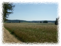 Blick nach Gaußig