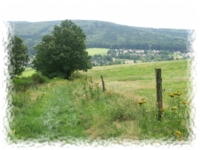 Steinweg nach Tautewalde