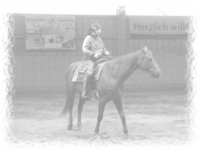 Reiten in der Oberlausitz