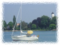 Segler in der Oberlausitz