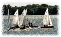 Segler in der Oberlausitz