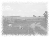 Wandern in der Oberlausitz