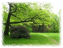 Park Schloss Gauig