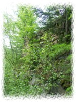 Burgruine Karlsfried bei Zittau
