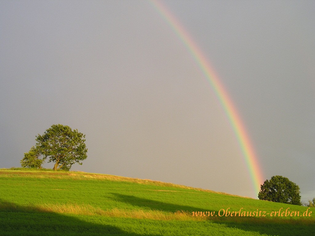 Regenbogen