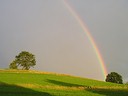 Wallpaper Regenbogen