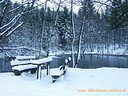 Wallpaper Winter