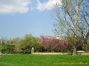 Wallpaper Park