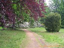 Wallpaper Park Gauig
