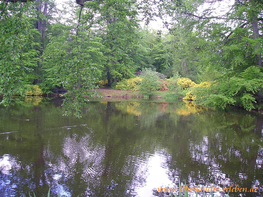 Parksee