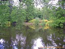 Wallpaper Parksee