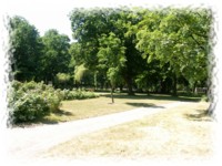 Schlosspark Brauna