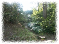 Pflanzgarten am Schlechtepark
