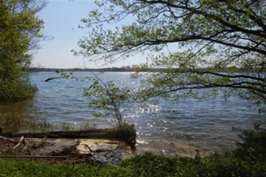 Blick auf den See