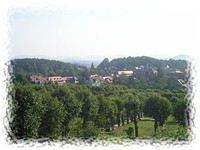 Blick vom Weinberg auf das Kloster St. Marienthal
